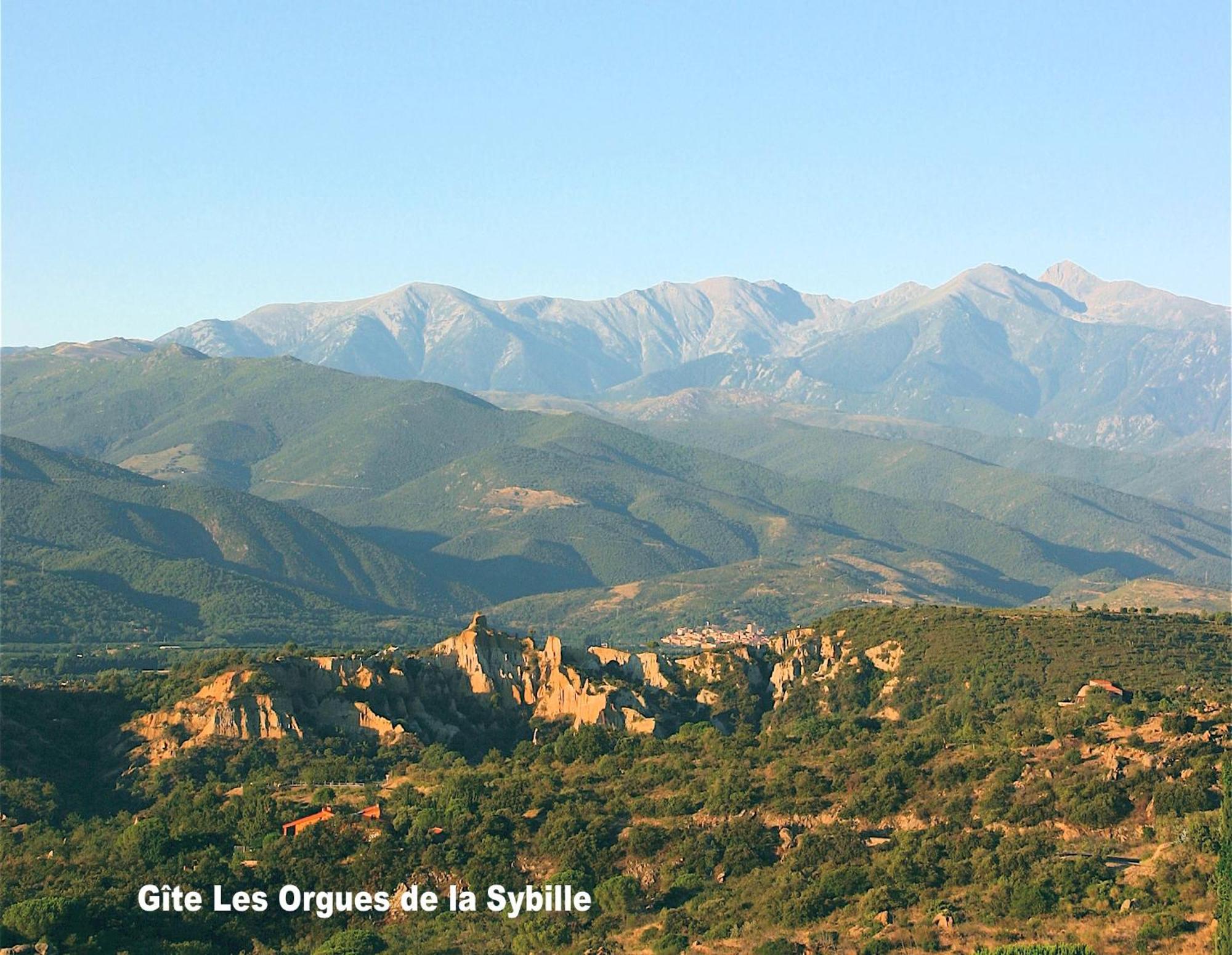 Gite Des Orgues De La Sybille Eucalyptus Exterior foto