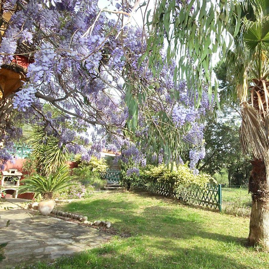 Gite Des Orgues De La Sybille Eucalyptus Exterior foto